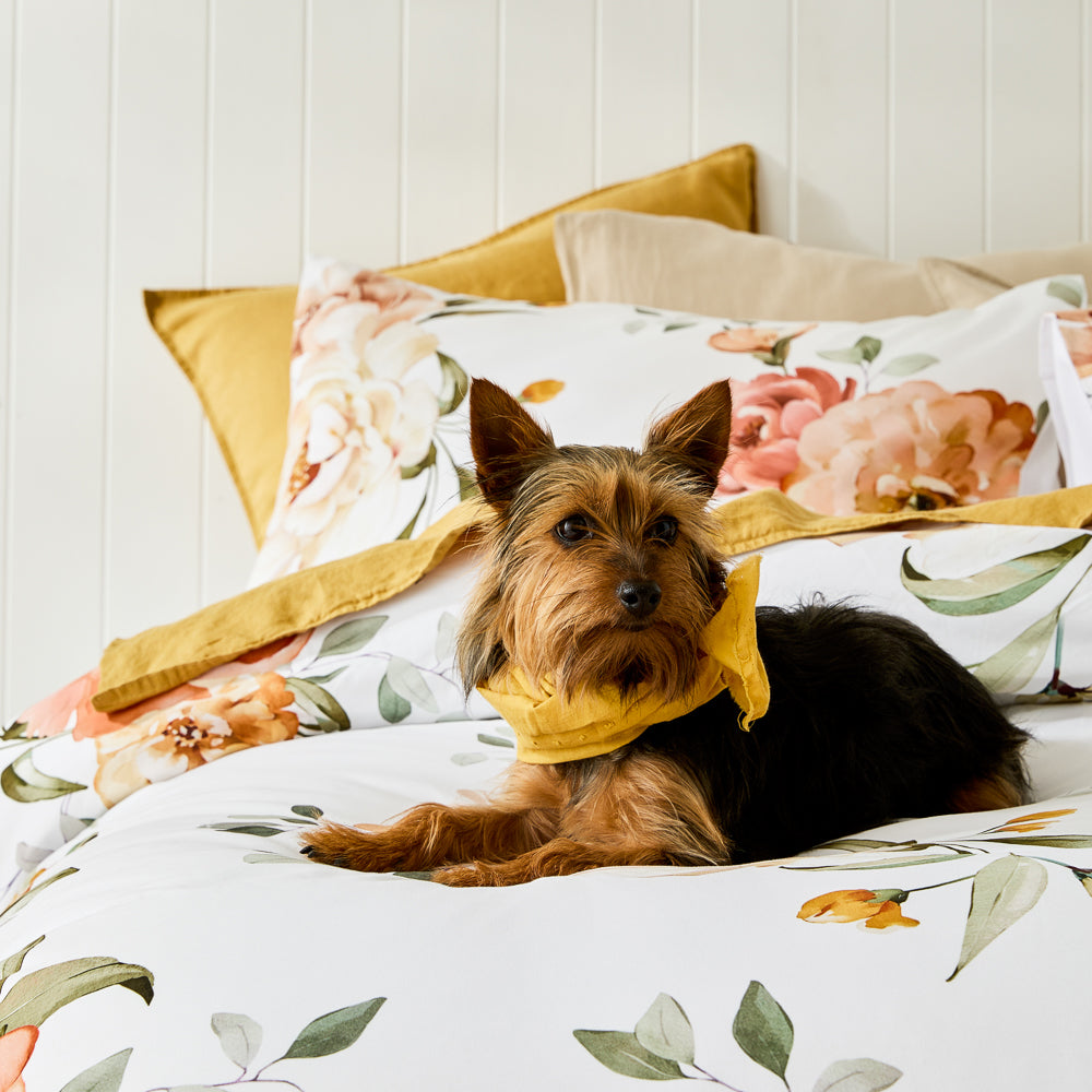 Adorn Living Mae Quilt Cover Set Queen