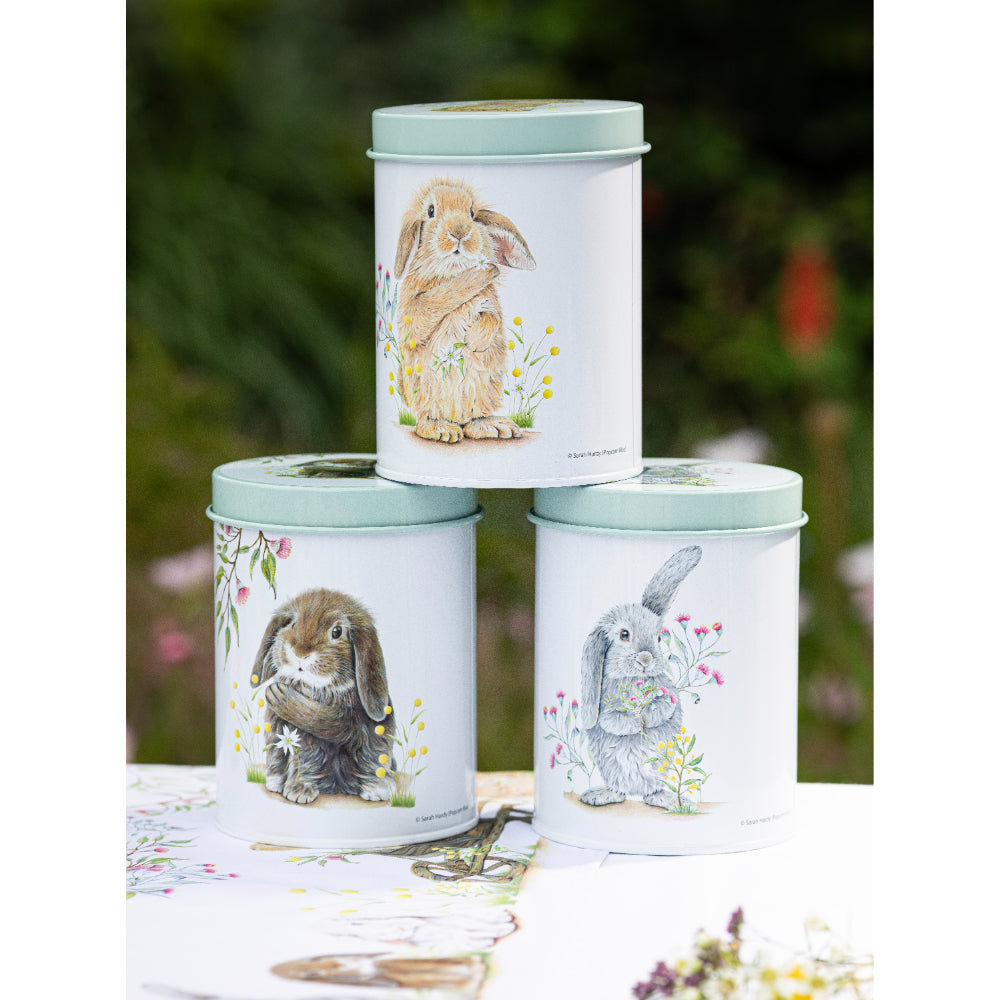 Ashdene Bunny Tales Set of 3 Canisters