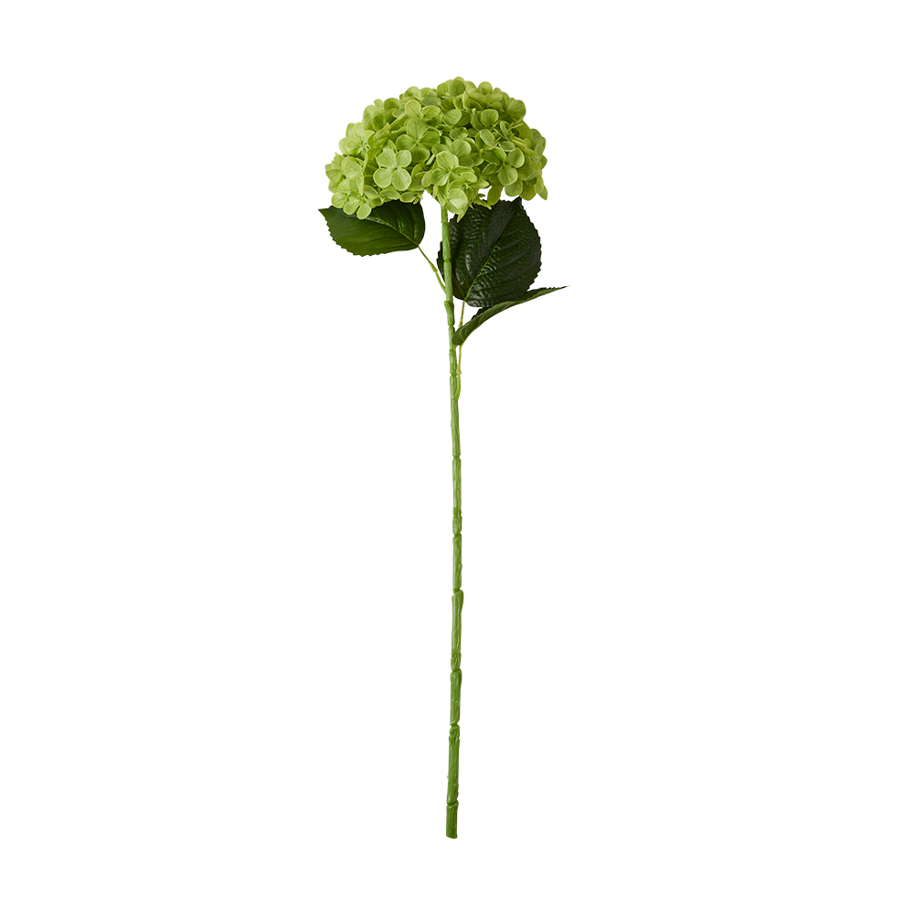 MyHouse Green Hydrangea 69cm