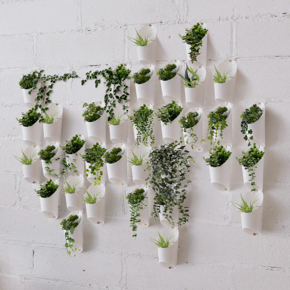 Umbra Floralink Wall Vessel White