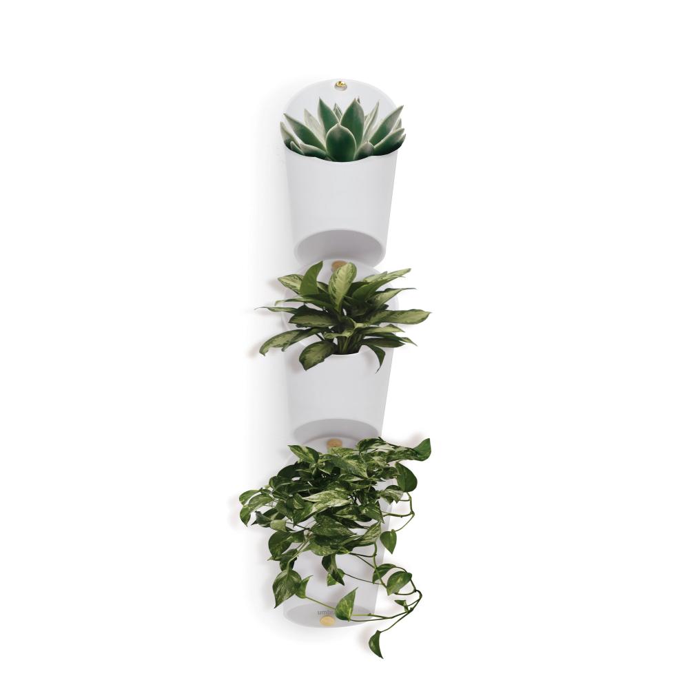 Umbra Floralink Wall Vessel White