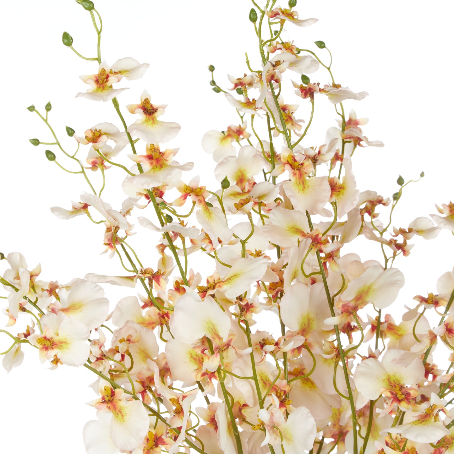 Rogue Dancing Orchids Rachel Vase
