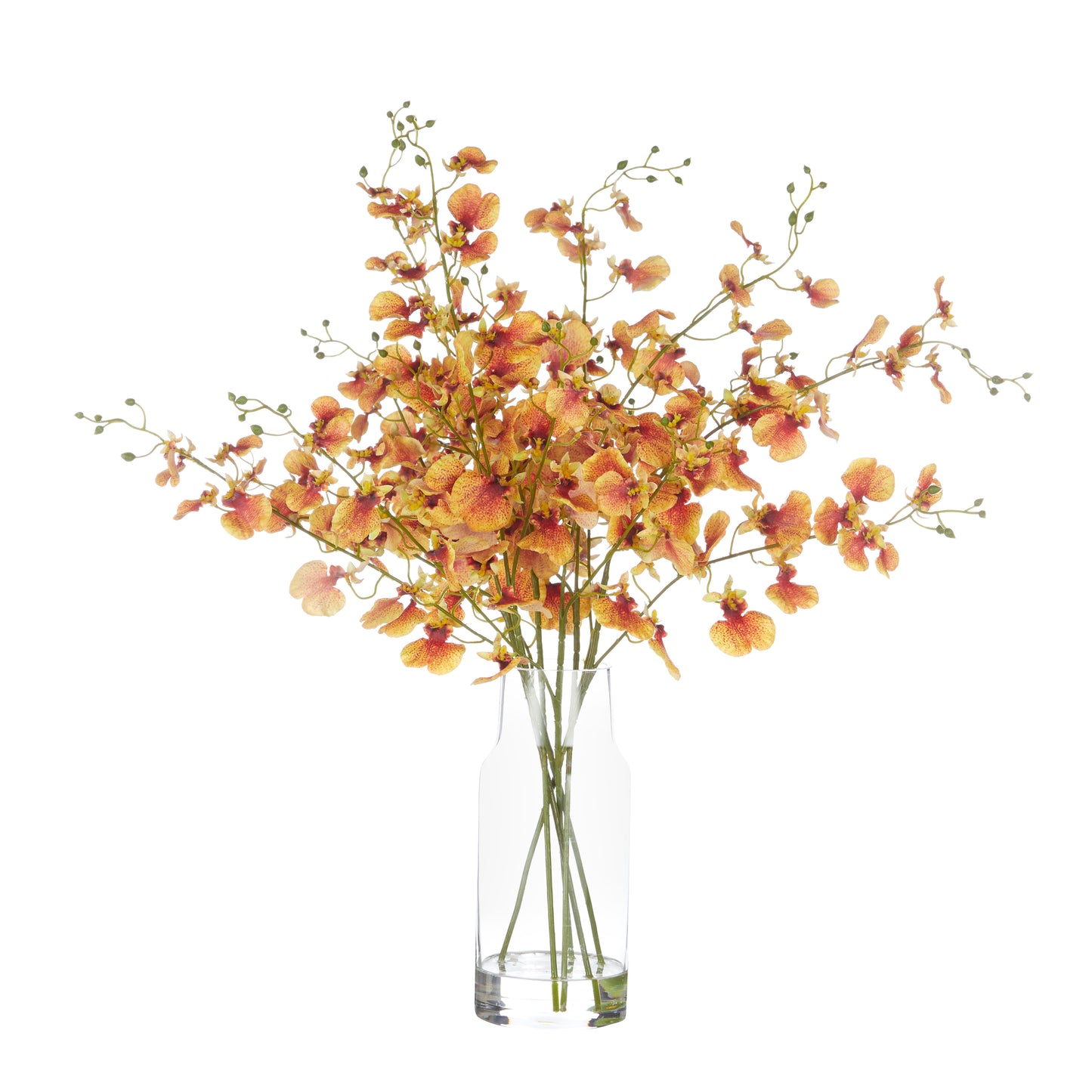 Rogue Dancing Orchids Rachel Vase