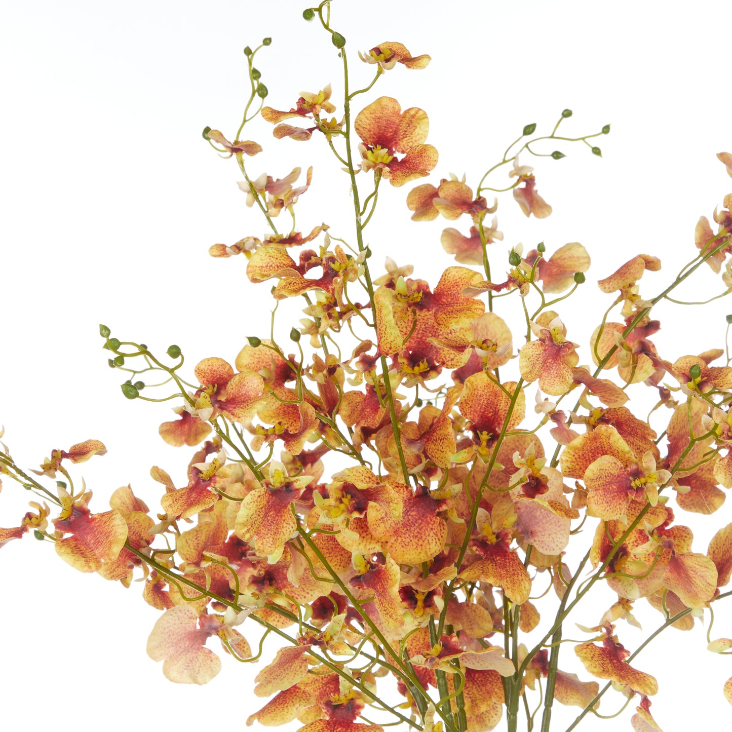 Rogue Dancing Orchids Rachel Vase