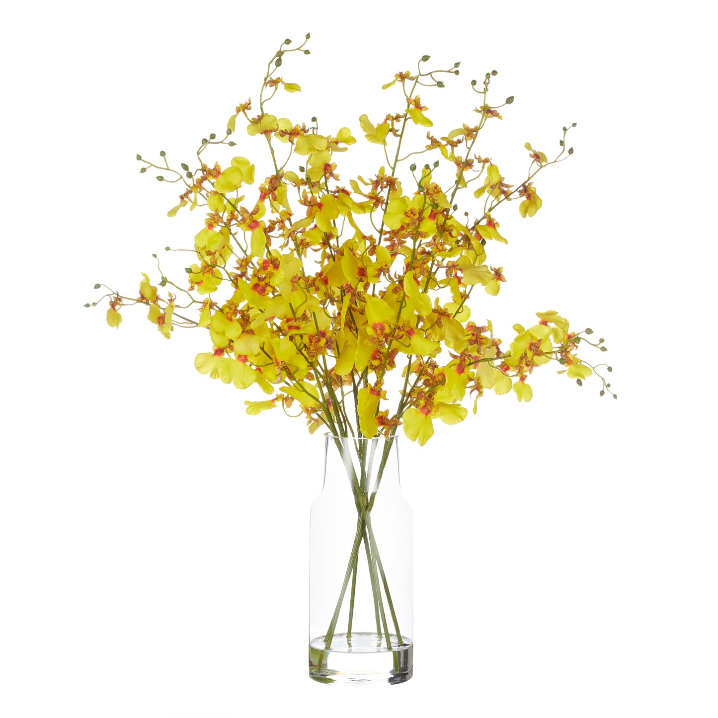 Rogue Dancing Orchids Rachel Vase