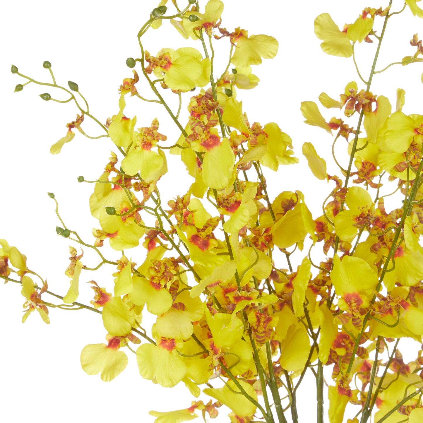 Rogue Dancing Orchids Rachel Vase