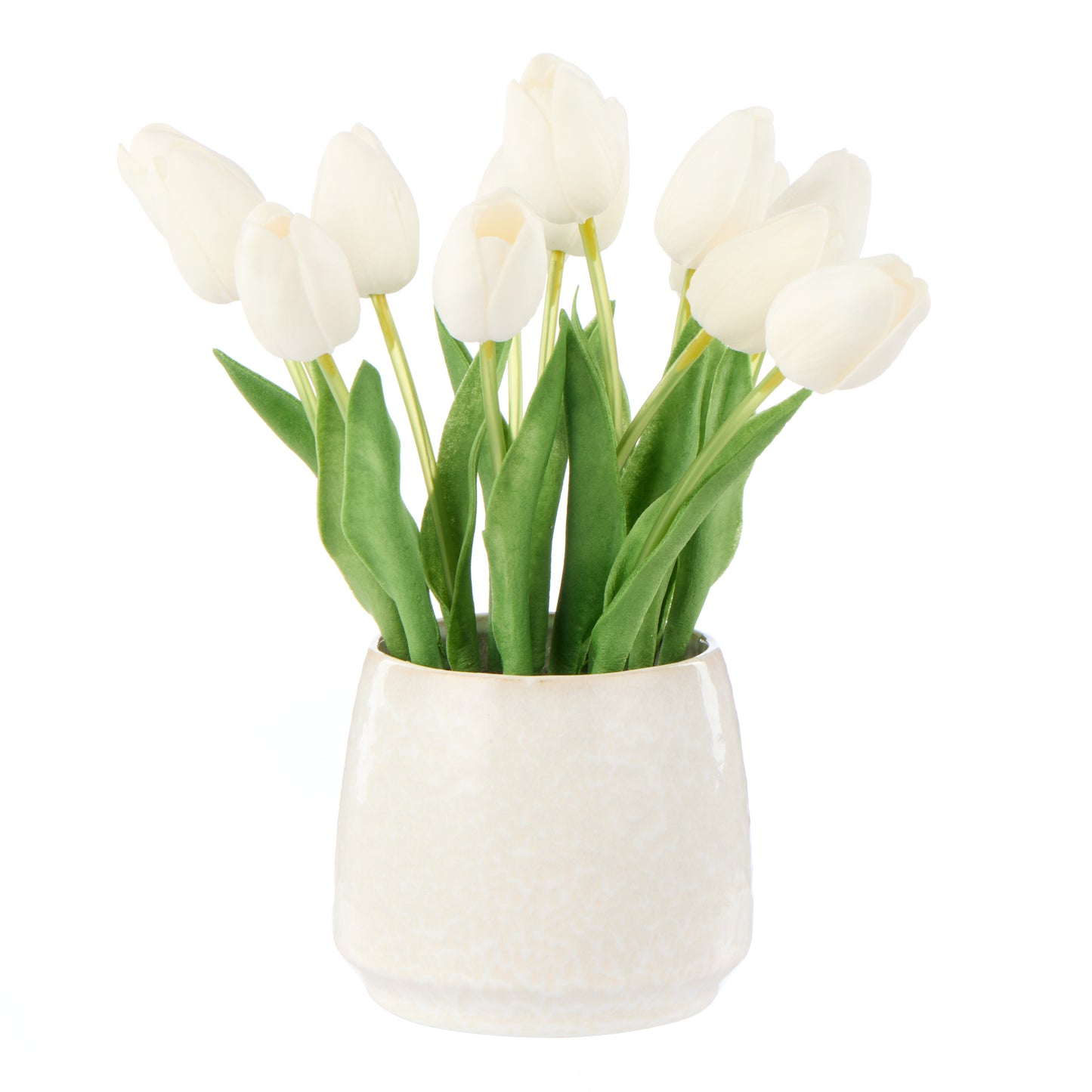 Rogue Tulip Bunch Gianna Pot