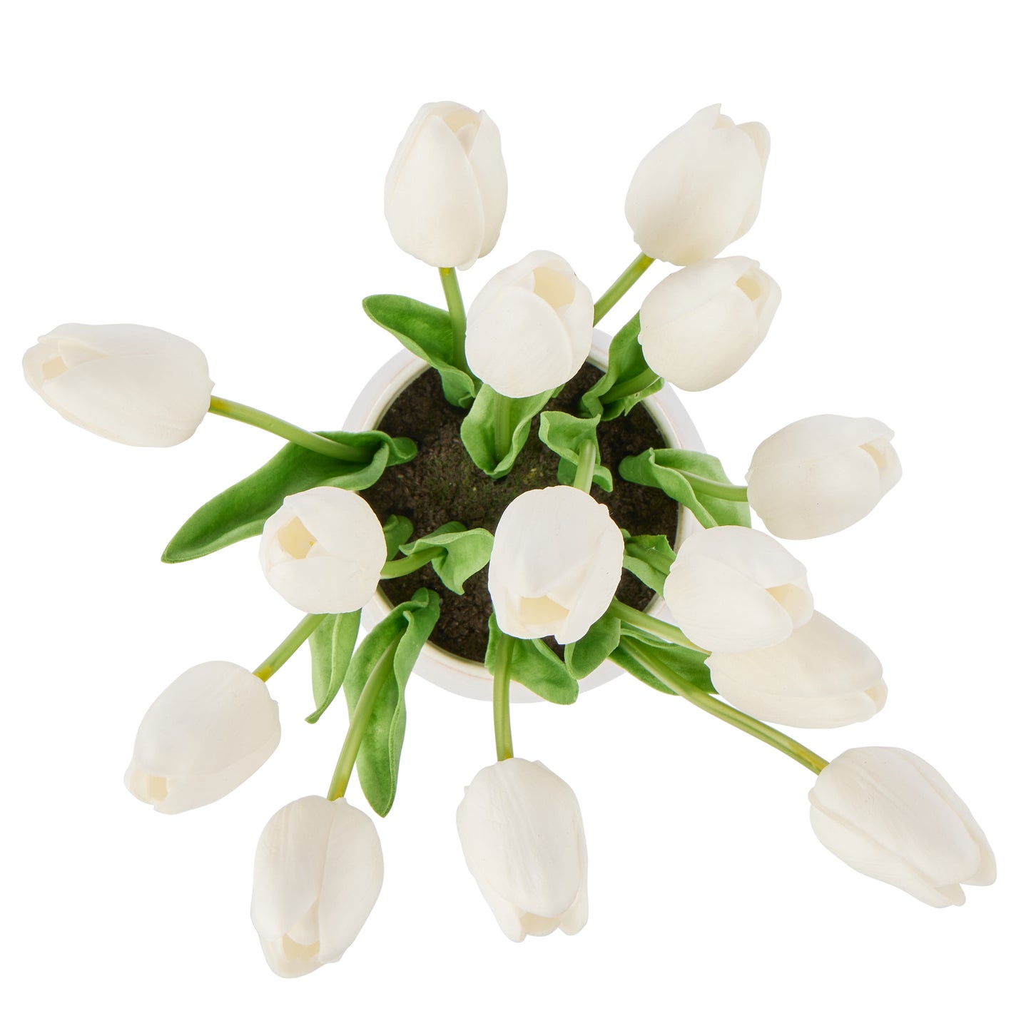 Rogue Tulip Bunch Gianna Pot