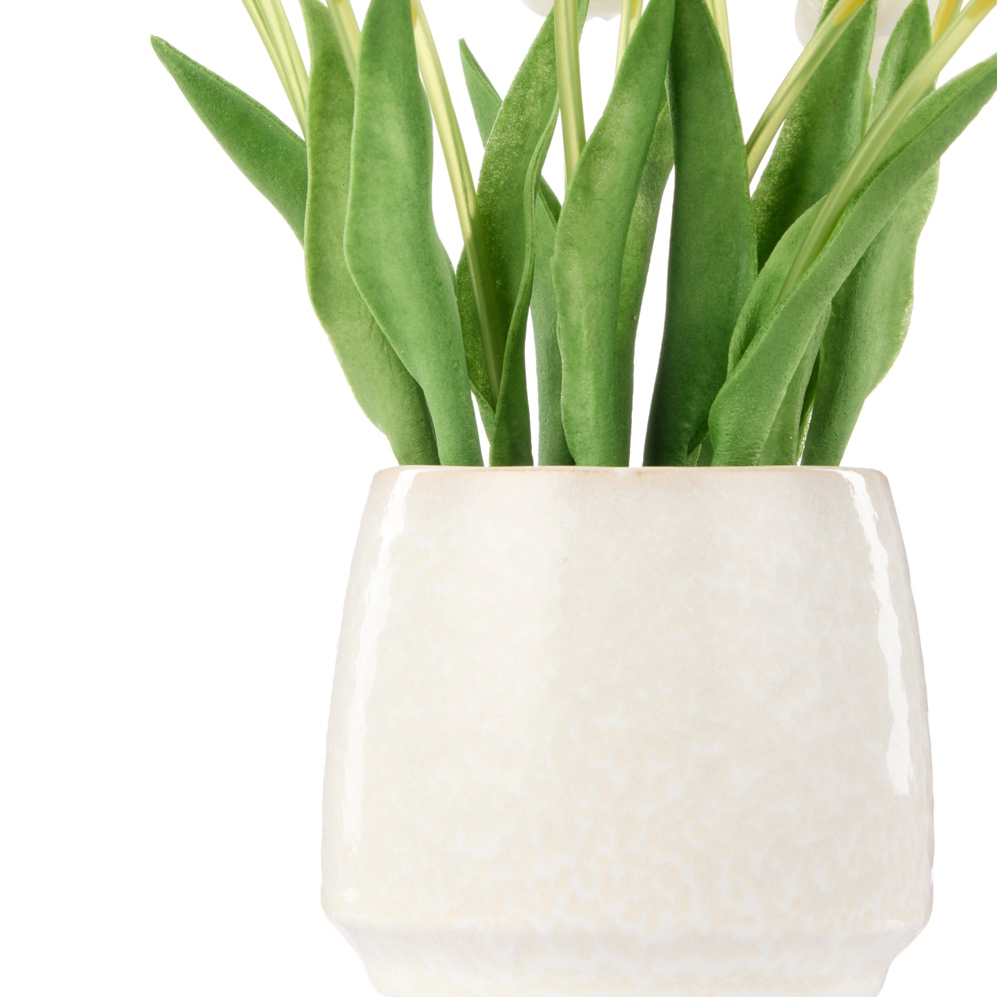 Rogue Tulip Bunch Gianna Pot