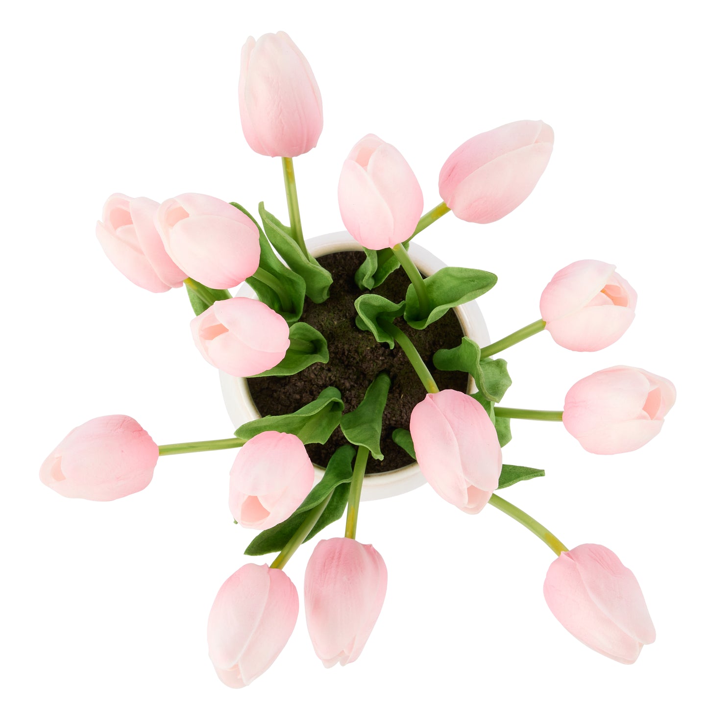 Rogue Tulip Bunch Gianna Pot