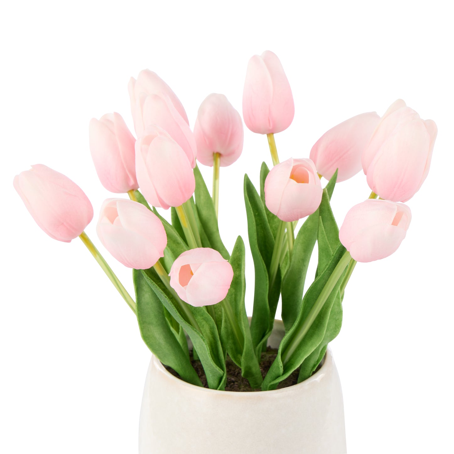 Rogue Tulip Bunch Gianna Pot