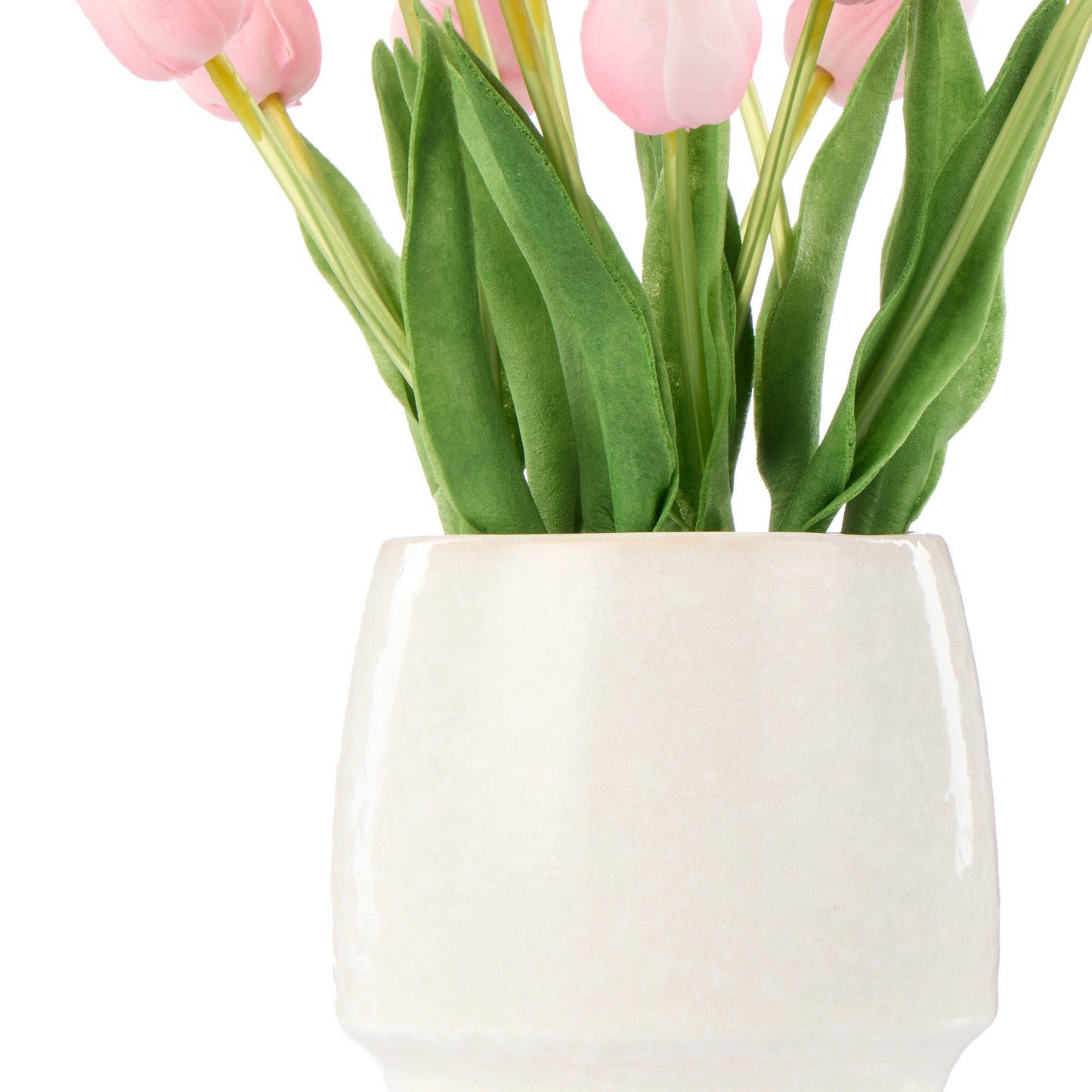 Rogue Tulip Bunch Gianna Pot