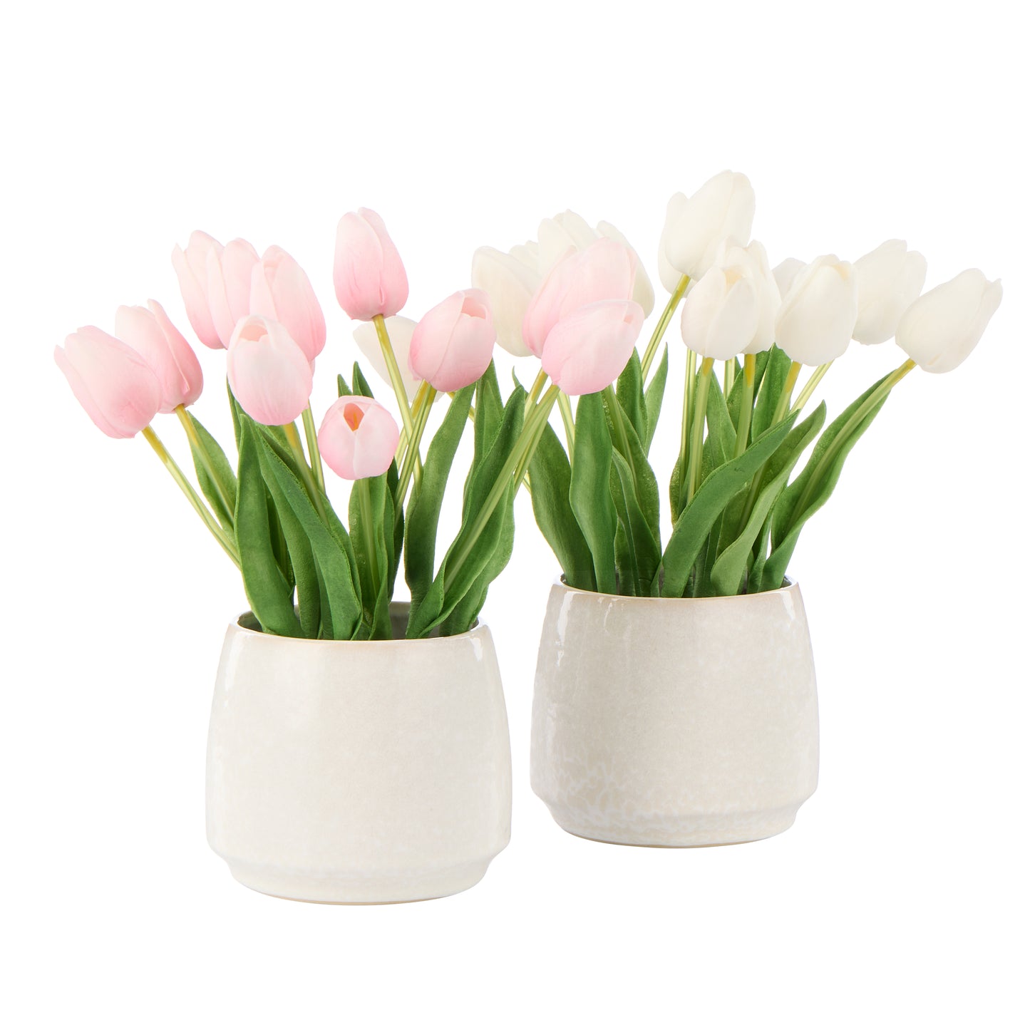 Rogue Tulip Bunch Gianna Pot