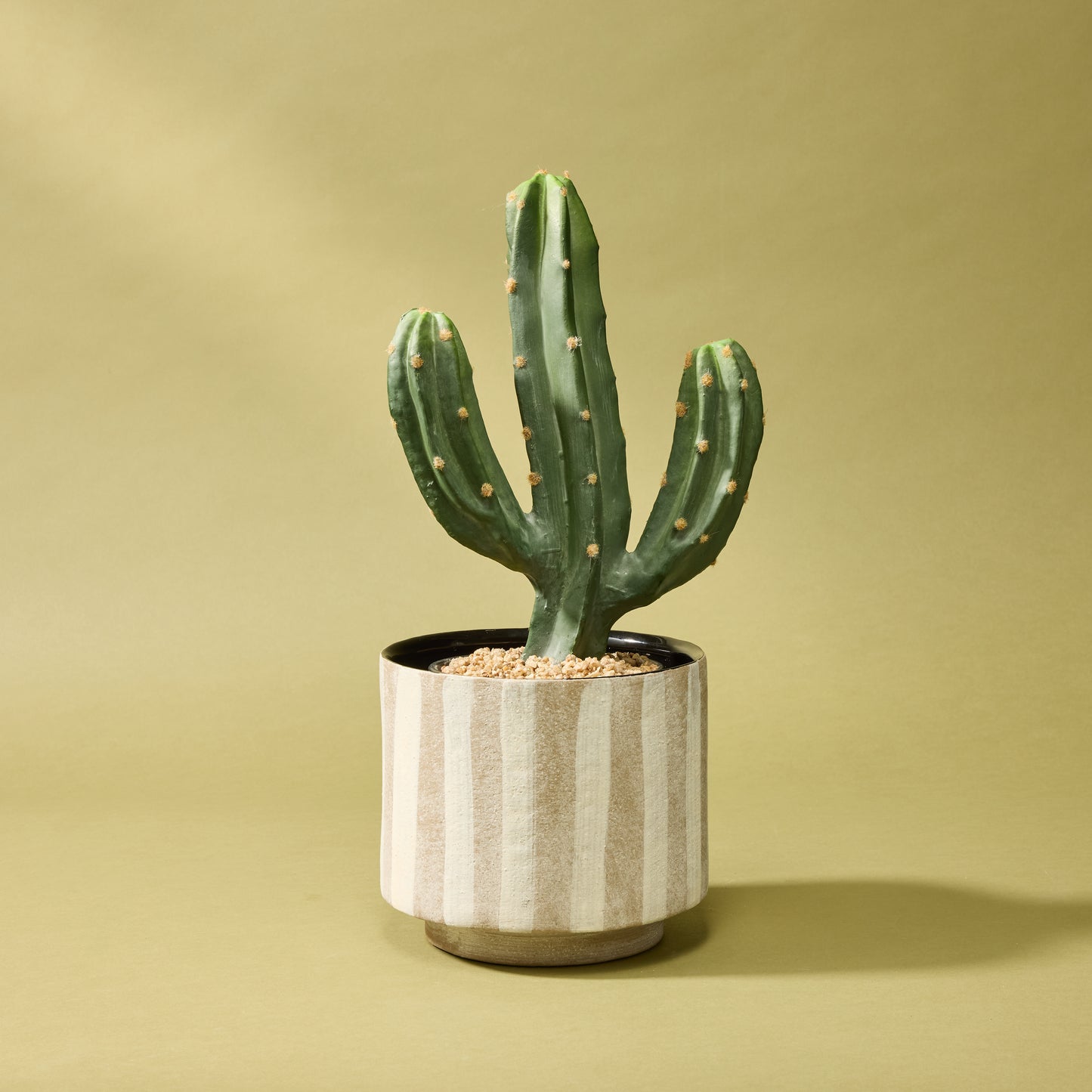 Rogue Antibes Pot