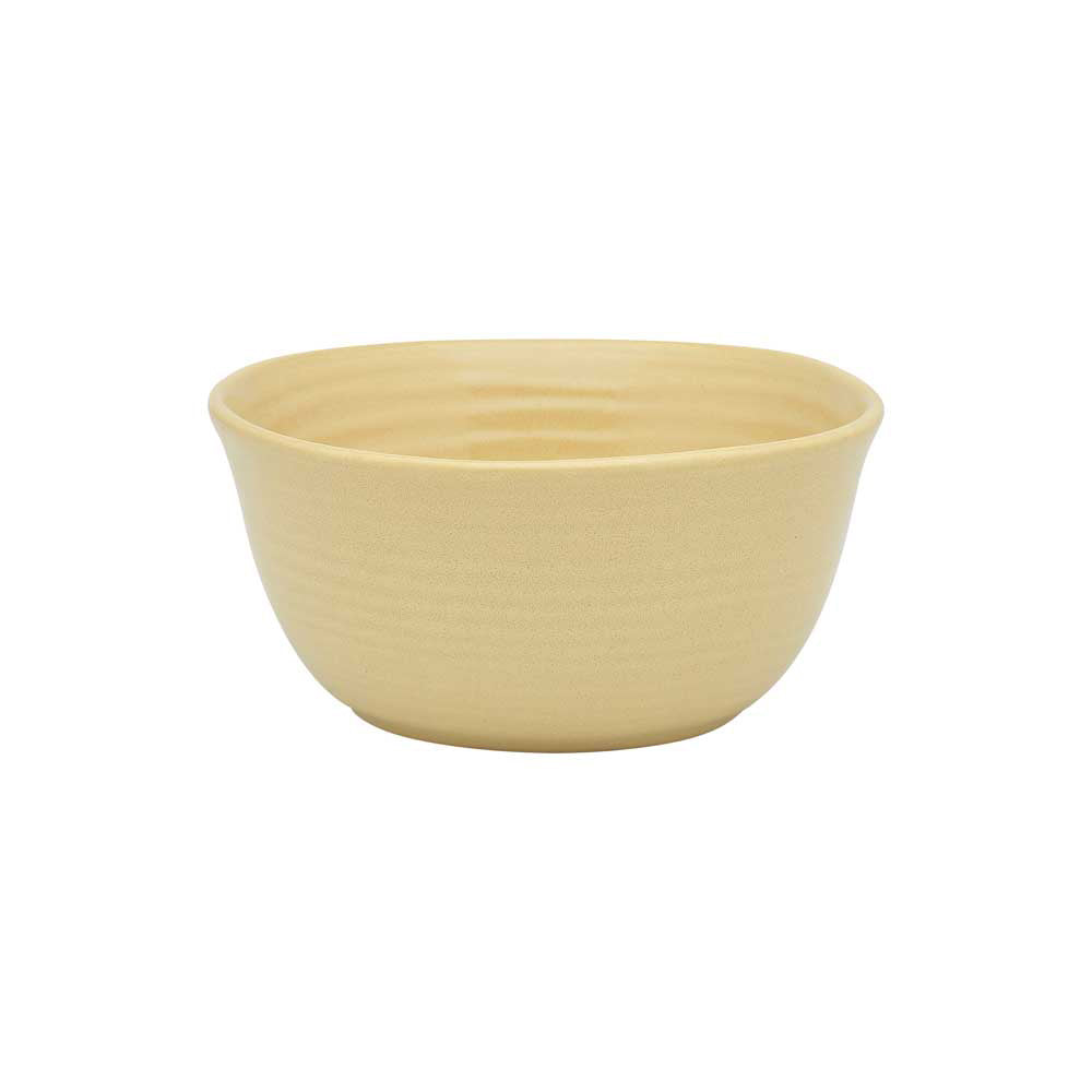 Ecology Ottawa Stoneware 4 Piece Dinner Set in Multicolour with noodle bowl at MyHouse
