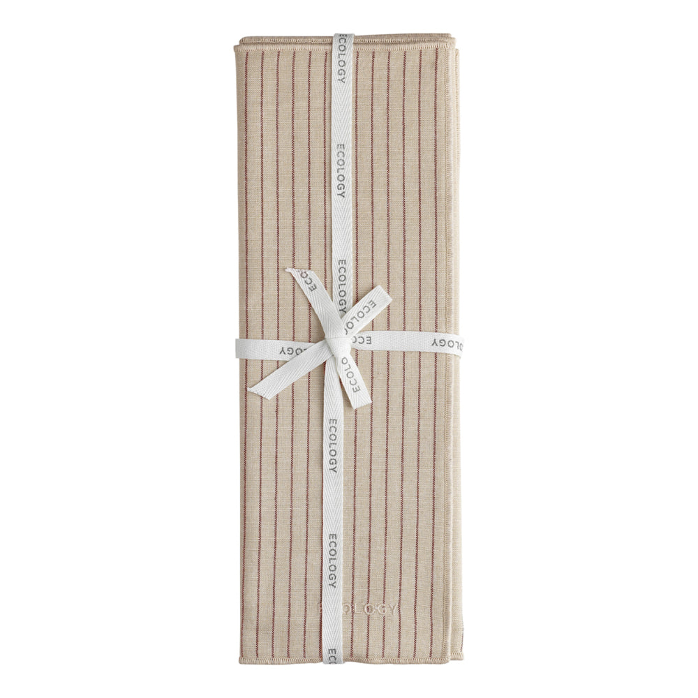Ecology Tonka Set of 4 Placemats Sienna
