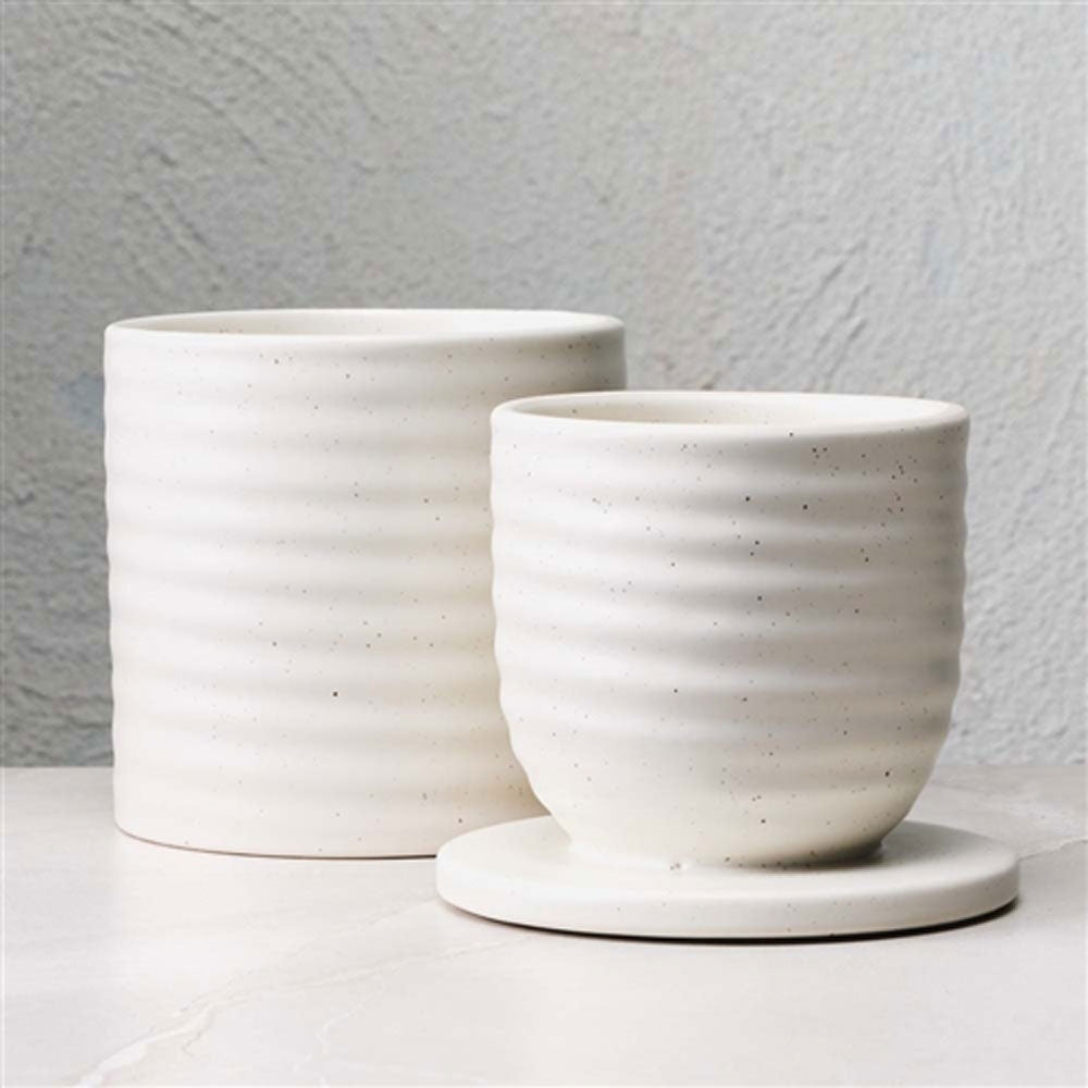 Ecology Ottawa Butter Keeper 12.5cm Calico