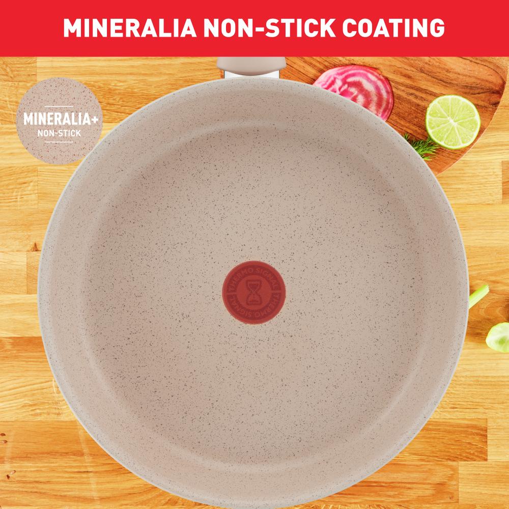 Tefal Delight Induction Mineralia Non Stick Frypan 20cm