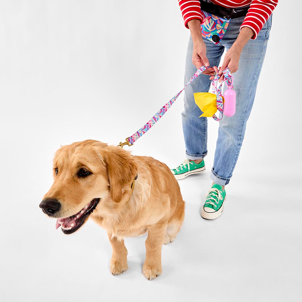 MyHouse Calypso Pet Lead