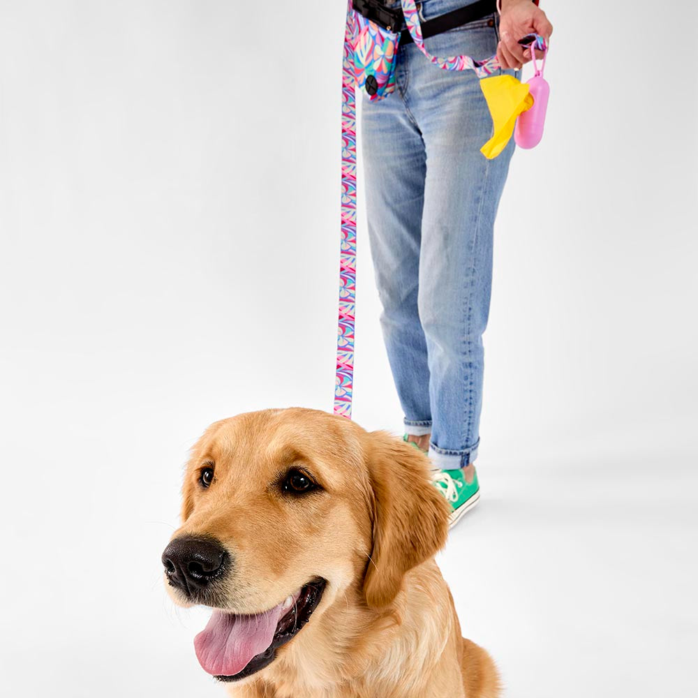 MyHouse Calypso Pet Lead