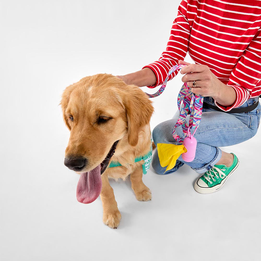 MyHouse Calypso Pet Lead