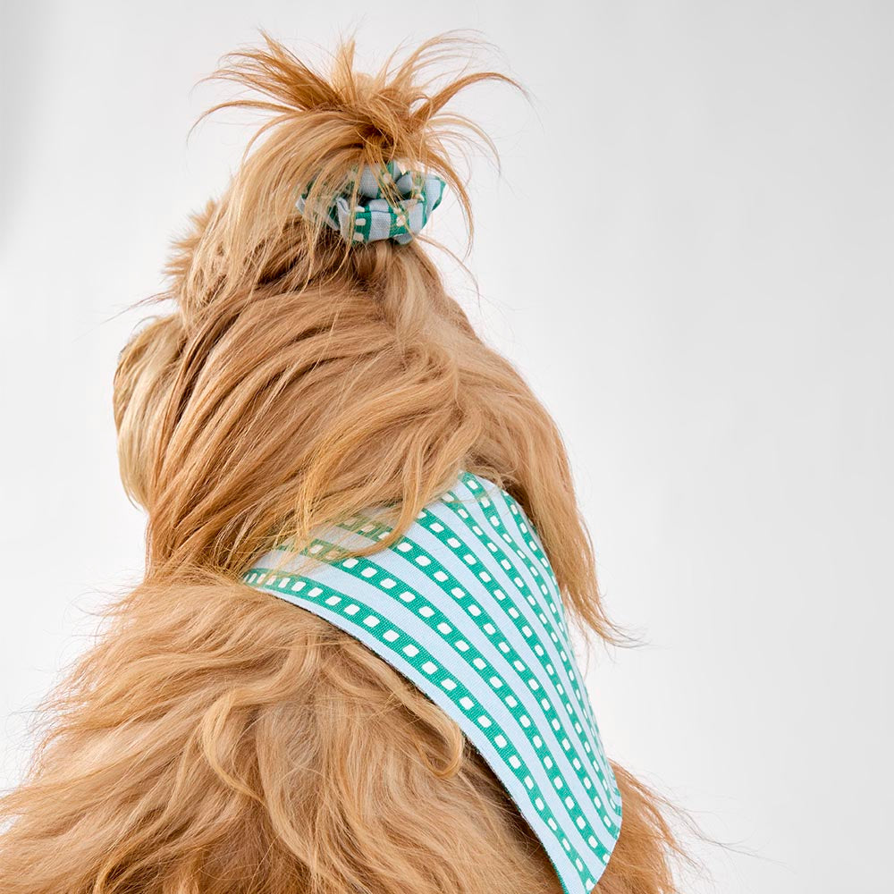 MyHouse Calypso Bandanna Set