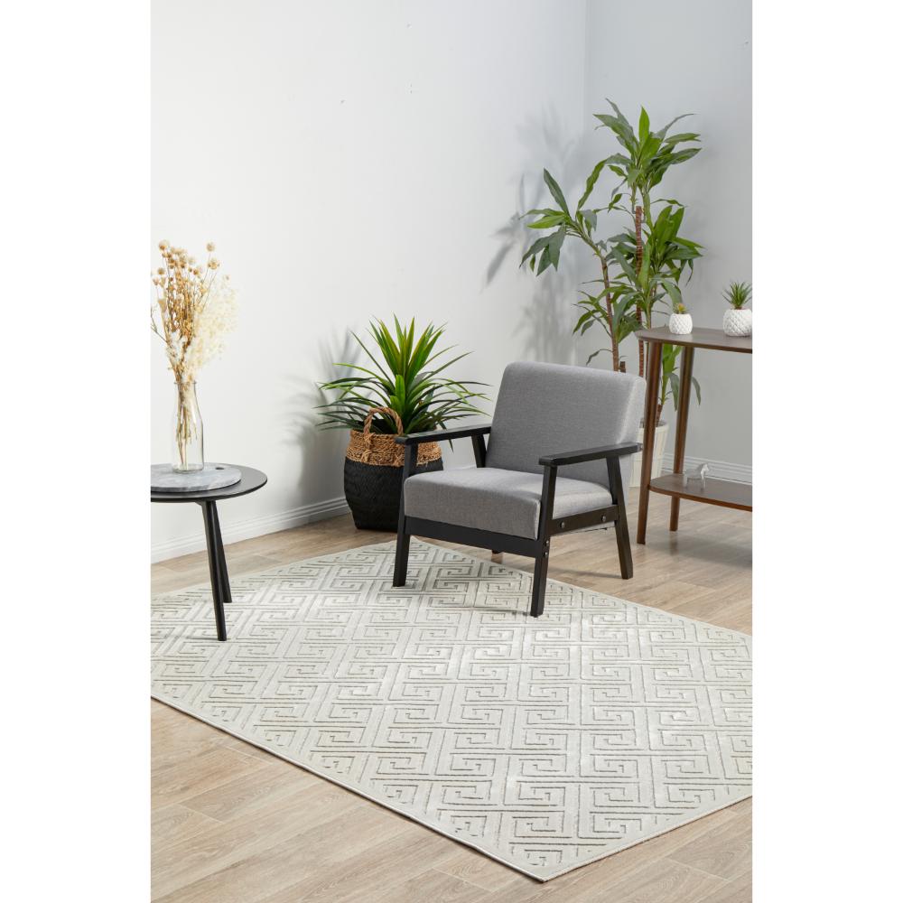 beige geometric swirl rug in a sitting room with plants - MyHouse