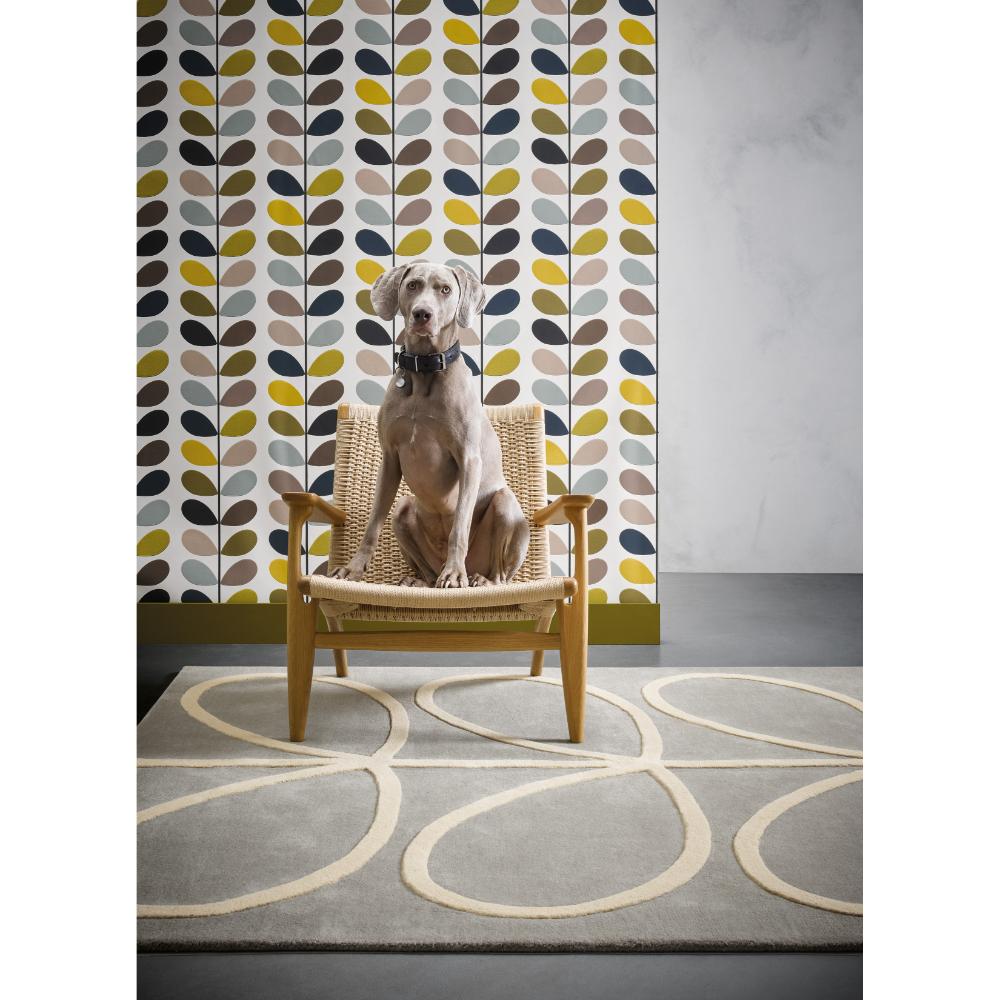 grey and white flower rug with a dog posing in a chair - MyHouse