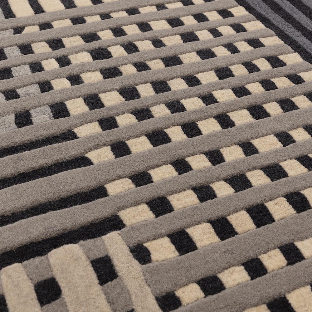 Asiatic Aspect Rug in Grey