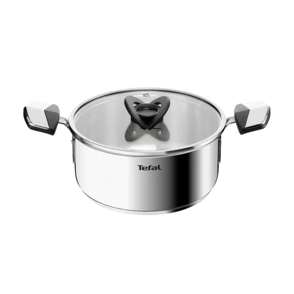 Tefal Emotion Induction Stainless Steel Stewpot 20cm & Lid