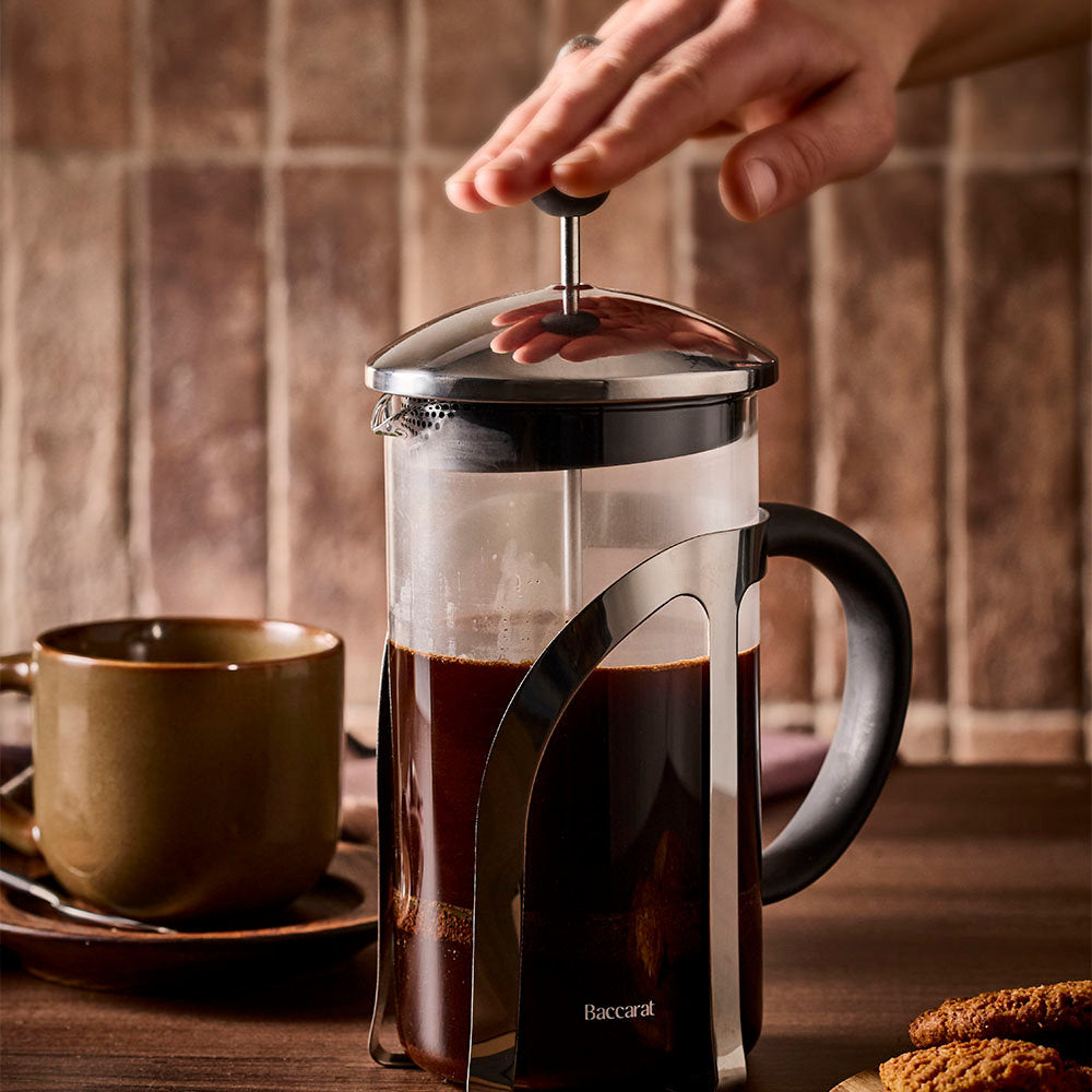 Baccarat Barista Venice 8 Cup Plunger