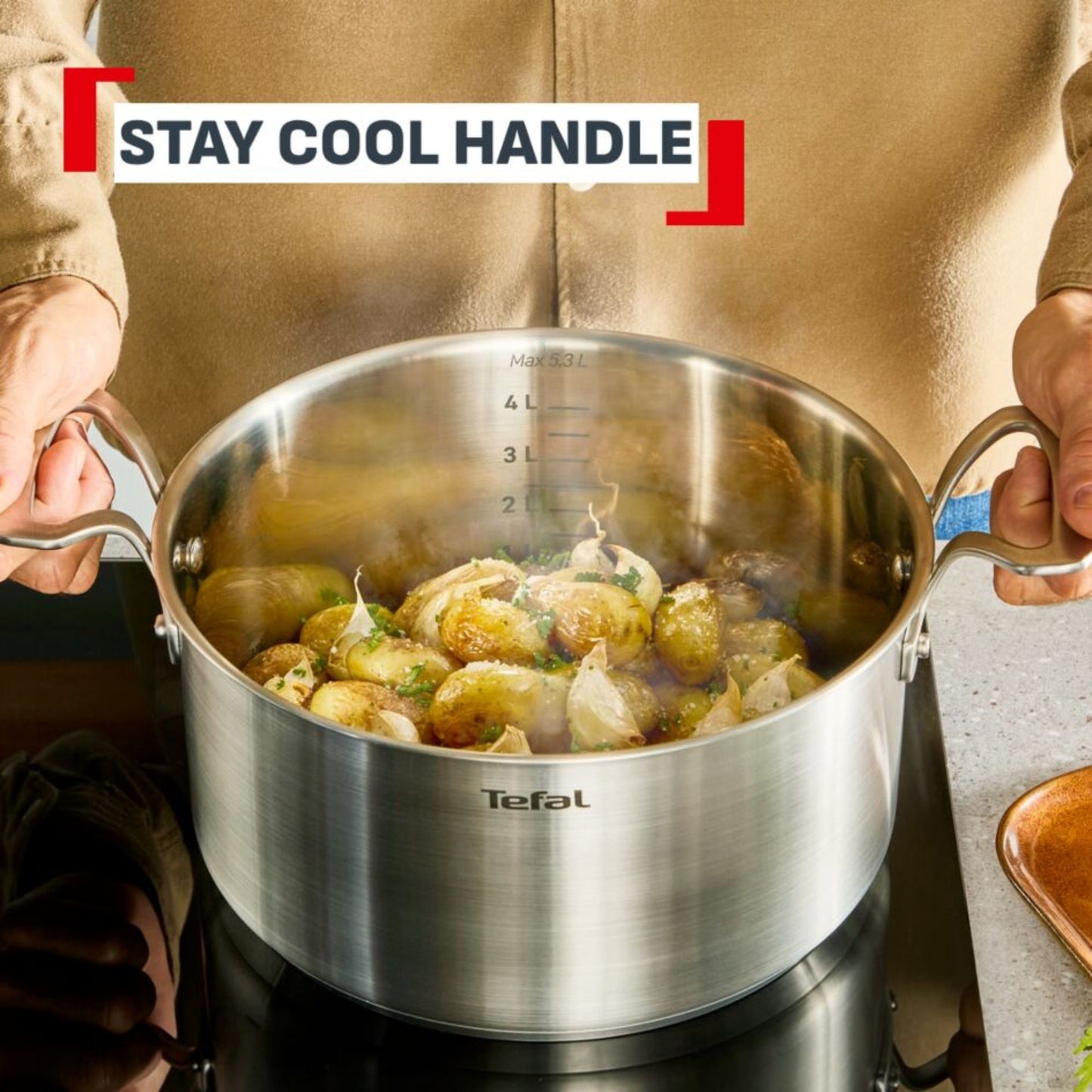 Tefal Space+ Extreme Induction Stainless Steel Stewpot 20cm & Lid