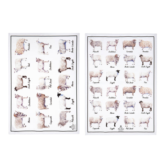 Ashdene Best In Breed Sheep Set Of 2 Kitchen Towels