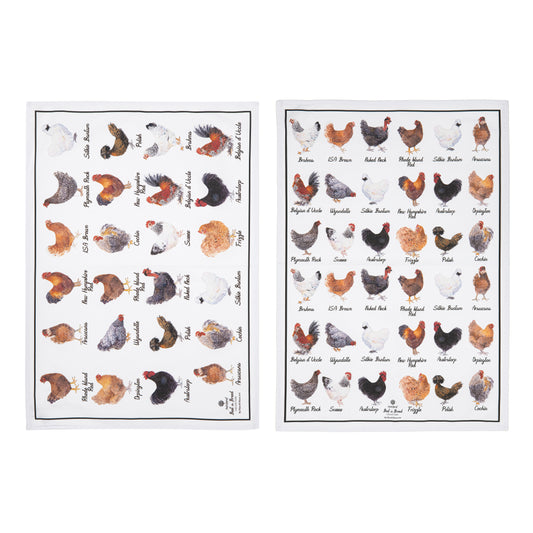 Ashdene Best In Breed Chicken Set Of 2 Kitchen Towels