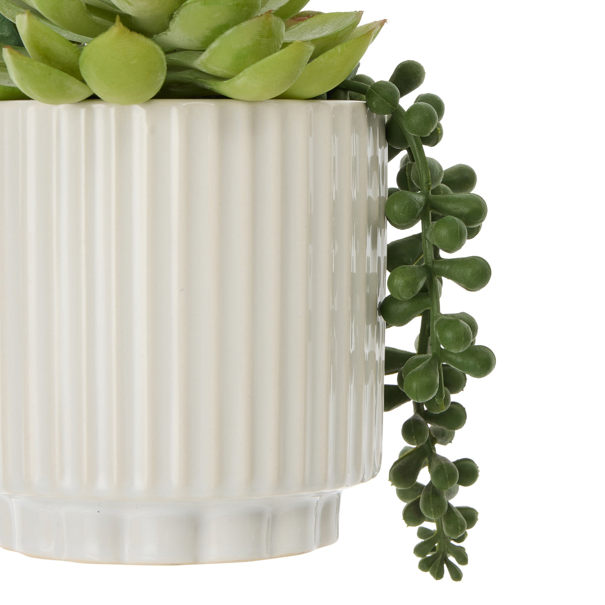 Rogue Aloe Succulent Mix Pot