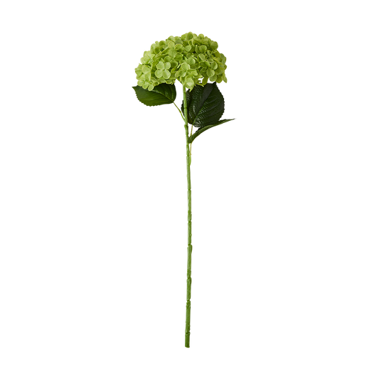 MyHouse Green Hydrangea 69cm