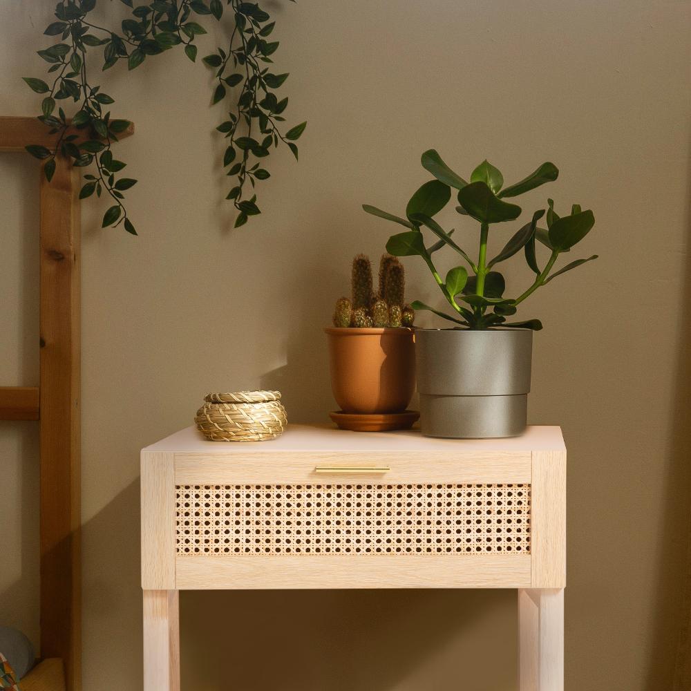Casa Decor Santiago Oak Rattan Bedside Table