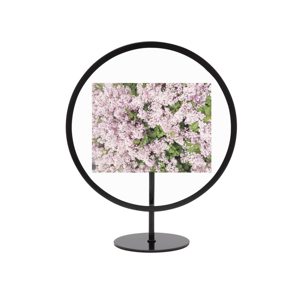 Umbra Infinity Photo Display Frame 4 x 6" Black