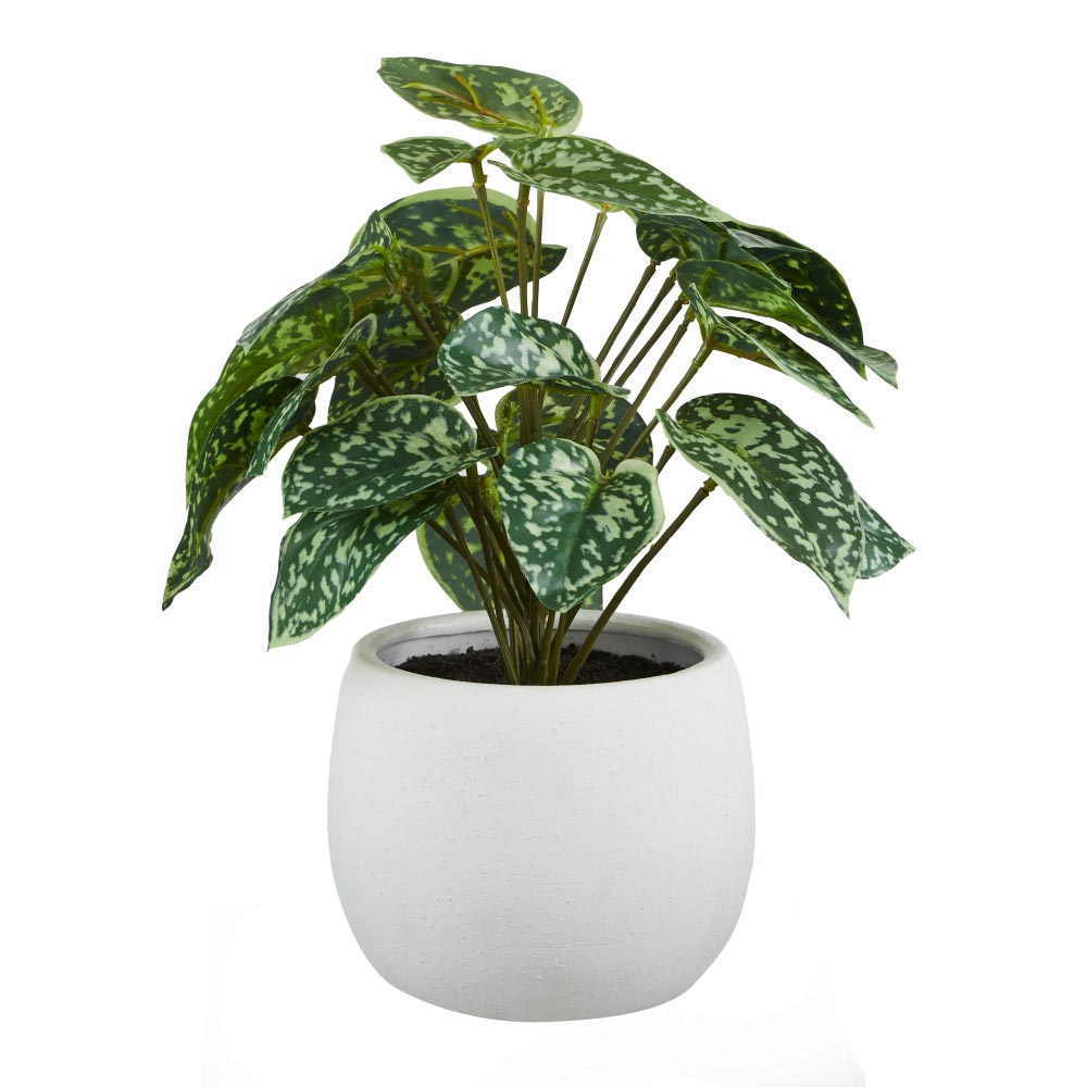 Rogue Aluminium Bush-Tub Pot