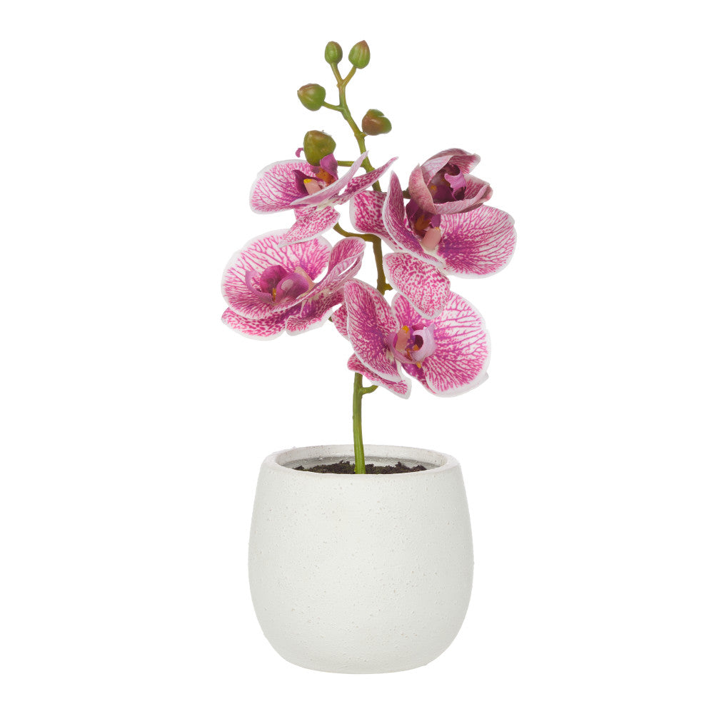 Rogue Orchid Stem-Tub Pot