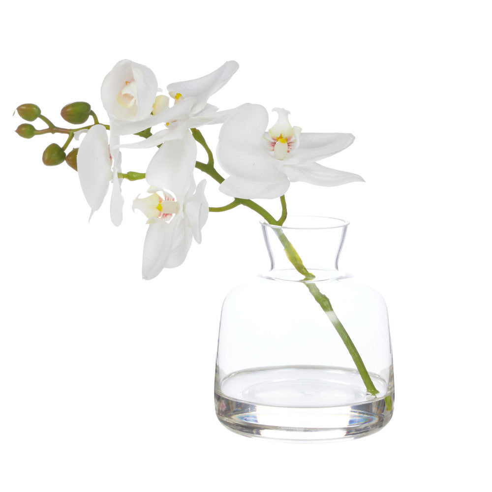 Rogue Orchid Stem-Clear Vase