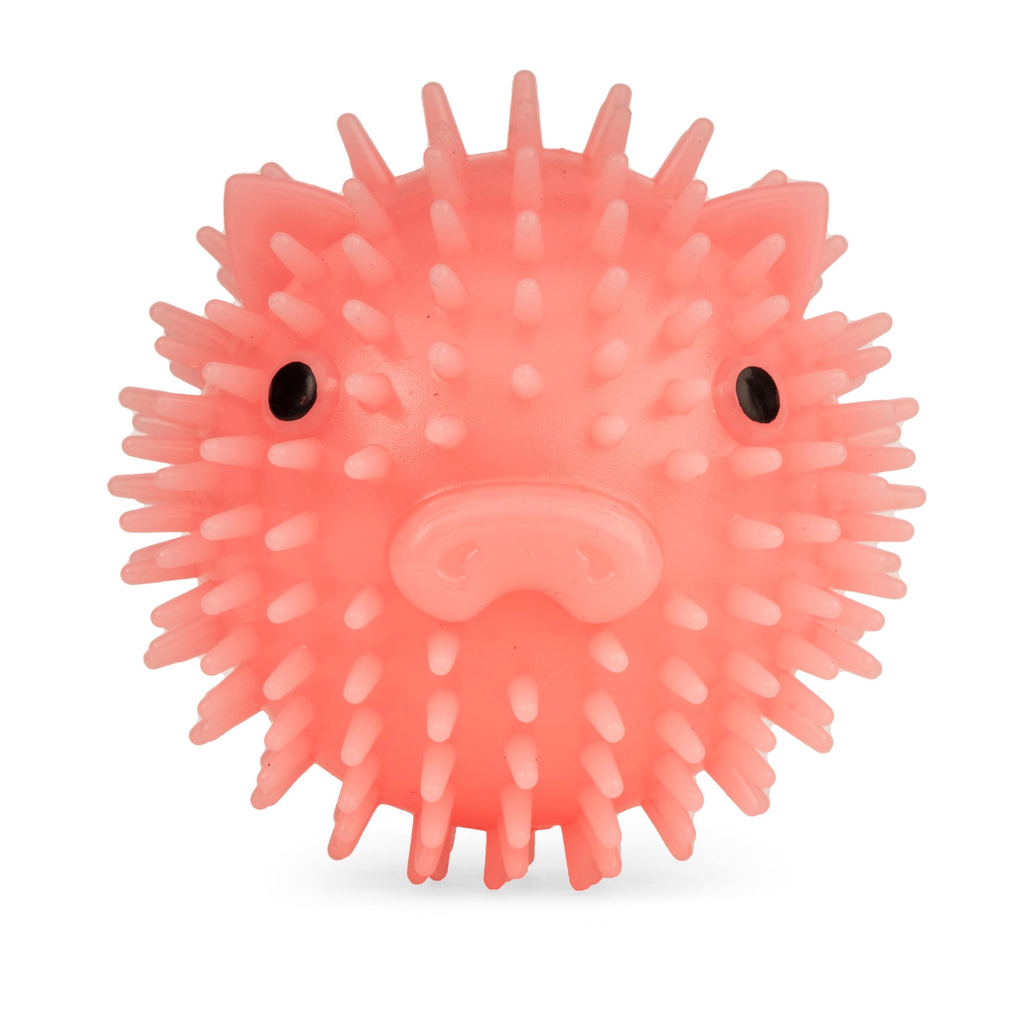 Kikkerland Kobe Piggy Dog Ball