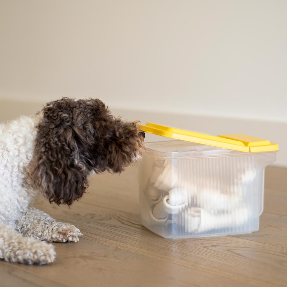 Lock & Lock Pet Flip Top Storage Container