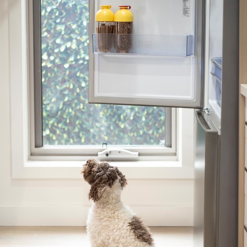 Lock & Lock Pet Food Fridge Storage Container