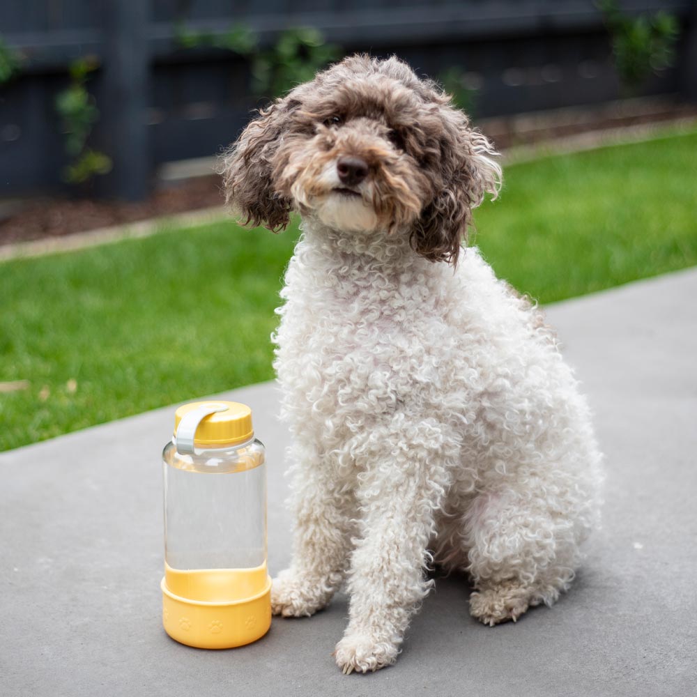 Lock & Lock Pet Water Bottle 1L