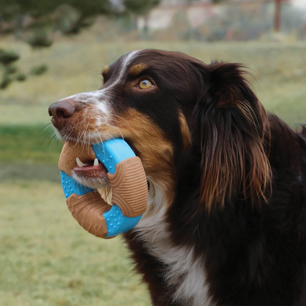 KONG Core Strength Bamboo Ring Dog Toy Large