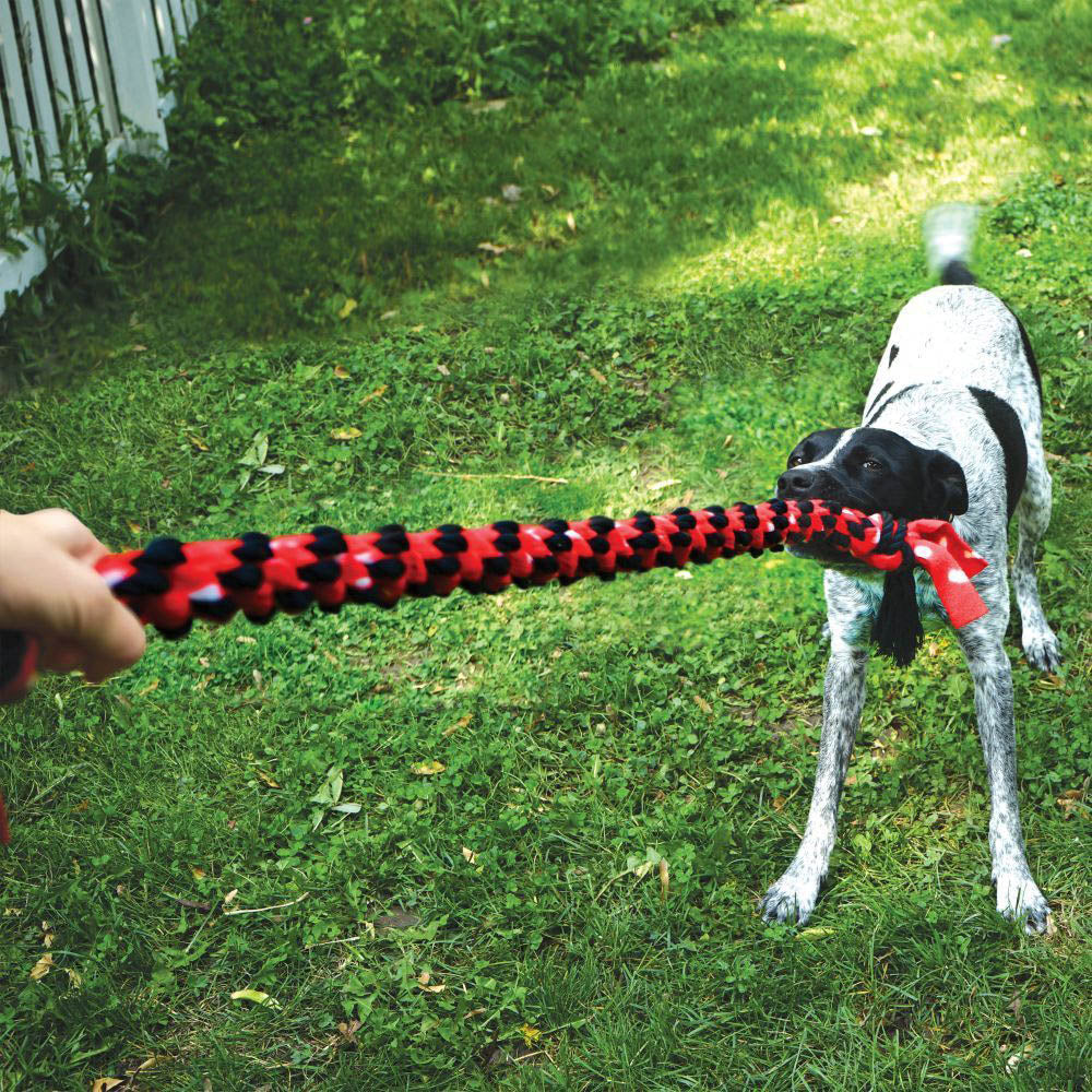 KONG Signature Rope Dual Knot Dog Toy 50cm