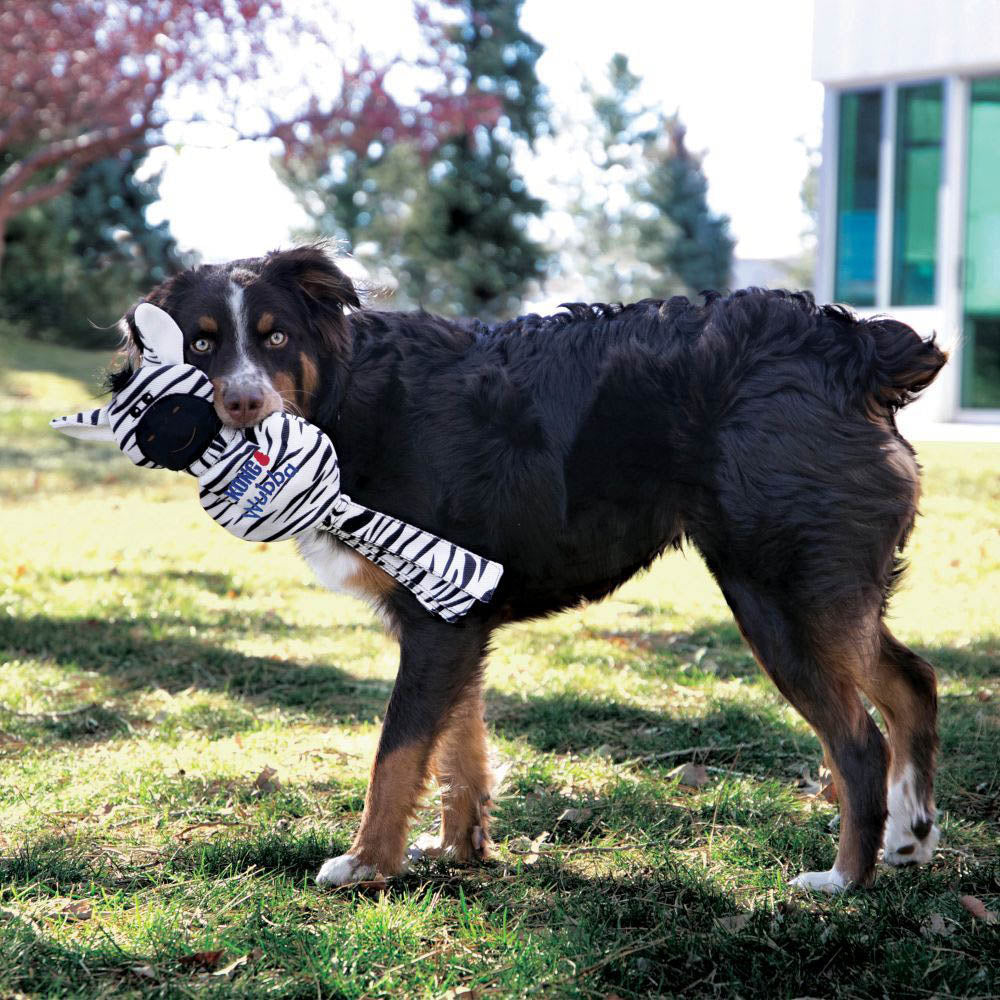 KONG Wubba NoStuff Zebra Dog Toy Large