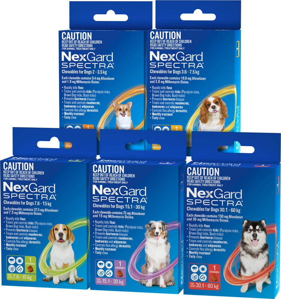 Nexgard Spectra Yellow For Small Dogs 3.6-7.5kg