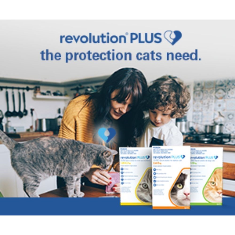 Revolution Plus for Cats 5 - 10kg Large Green 6 Pack